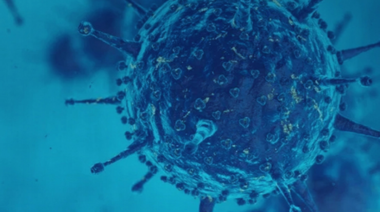 São Paulo has begun studies to discover the Indian variant of the Coronavirus