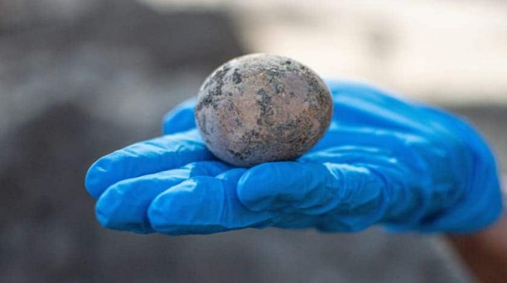 Archaeologists crack an egg that was intact 1,000 years ago