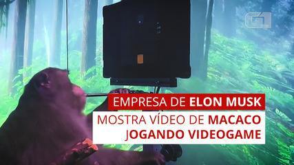Elon Musk shows a video of a monkey playing video games with the mind