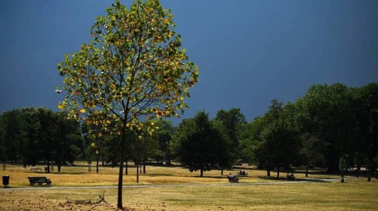 Vista do parque Clapham Common, em Londres, durante o verão britânico