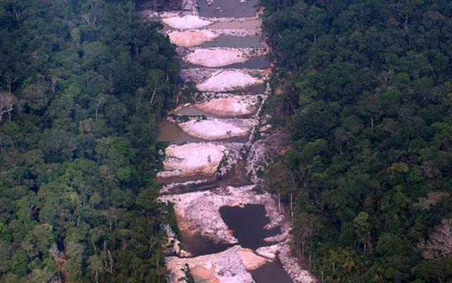 Contact with the forest threatens JBS and Marfrig in the UK