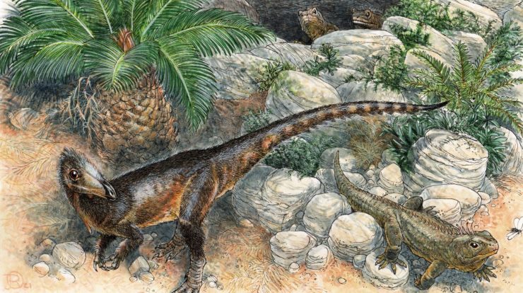 The oldest carnivorous dinosaur in England, identified by ancient scientists