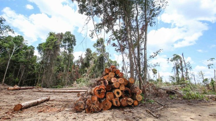 The British ambassador says COP26 is waiting for a plan to clear deforestation in Brazil