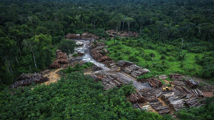 Countries threaten to ban Brazilian products due to deforestation in the Amazon |  Economie
