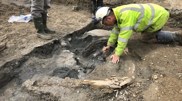 The "tomb" of Ice Age mammoths was discovered in the UK (and there is a documentary along the way)