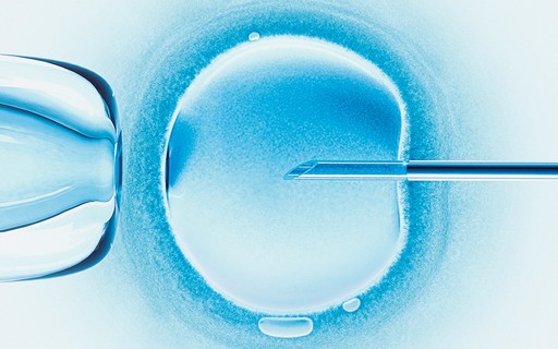 Male fertility: After 50, the chances of a live birth drop by 33% - according to research - Revista Crescer