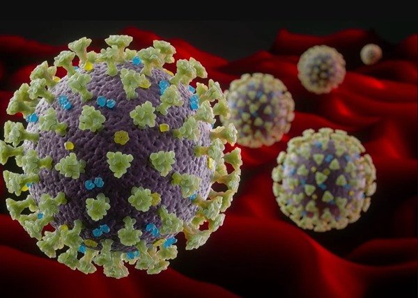 In the color illustration, different viruses are represented