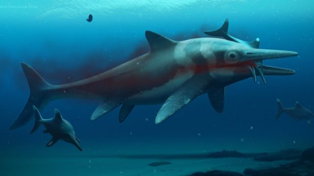 An explanation of what an ichthyosaur looks like a long fish with a long jaw