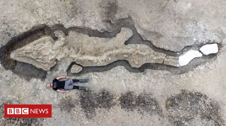Image of a 'giant sea dragon' found in England