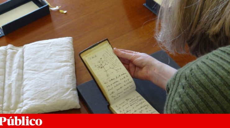 "Librarian Happy Easter": Darwin's Lost Notebooks Reappear |  United Kingdom