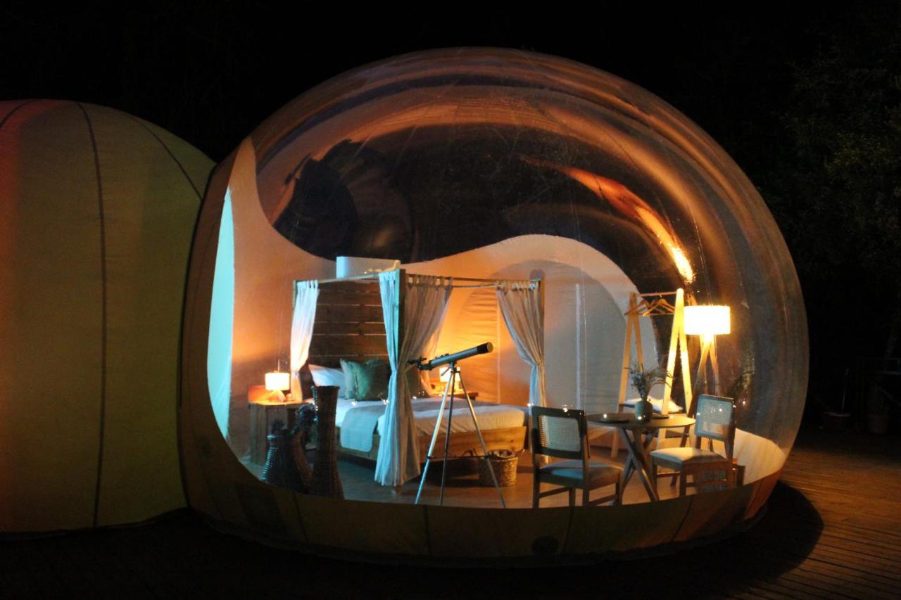 Zion Bubble Glamping is located in Urubici - Zion Bubble Glamping / Disclosure / ND