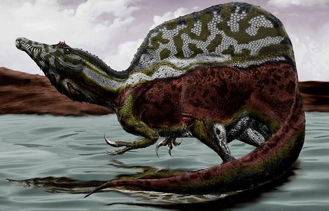 Fossil of Europe's largest predatory dinosaur discovered in England