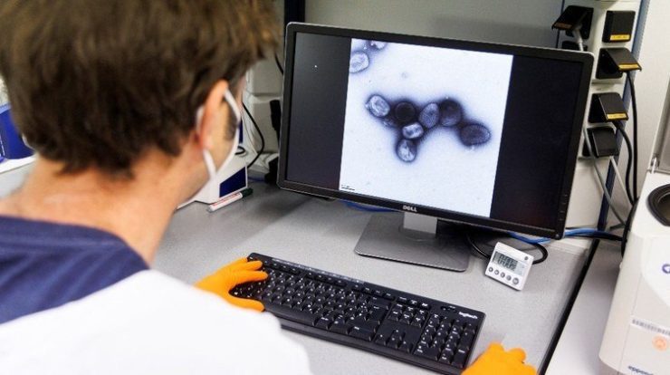 Cientistas estudam vírus da varíola do macaco para descobrir porque transmissão está rápida