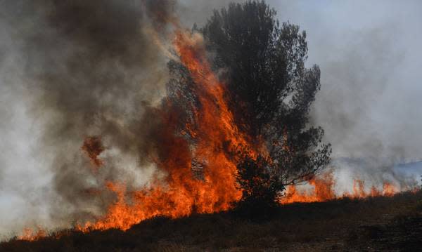 UK declares heat emergency as bushfires rage in southwest Europe