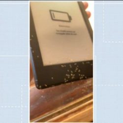 A writer whose Kindle is invaded by ants who "buy" books "I feel compelled to read" |  Federal District