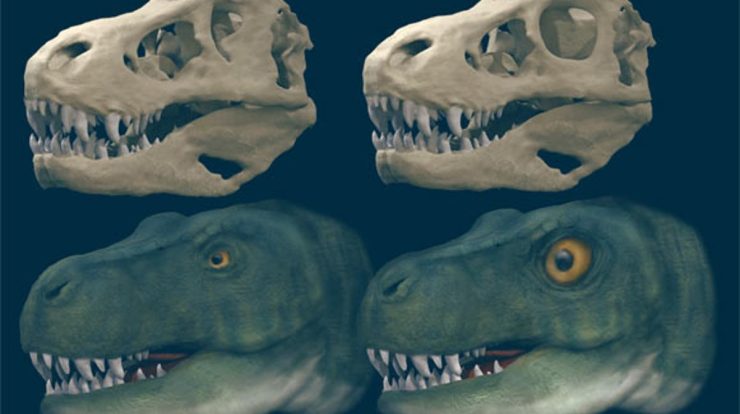 Study finds that large carnivorous dinosaurs like T-Rex replaced large eyes for a stronger bite