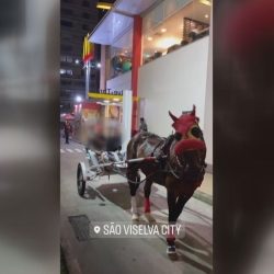 Young men ride a horse-drawn carriage at a fast-food chain drive-thru on the coast of São Paulo;  Video |  Santos and the region