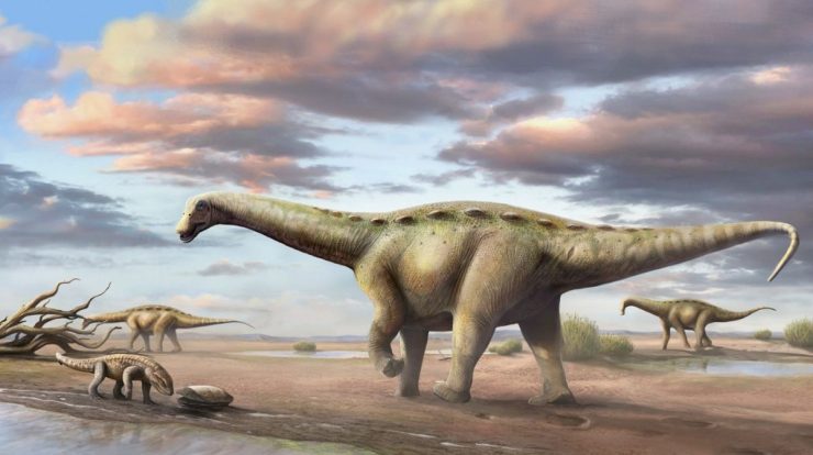 New species revealed: The first 'dwarf titanosaur' in the Americas was discovered in the interior of SP |  Sao Jose do Rio Preto and Aratuba