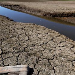 UK declares drought in parts of England during heat wave