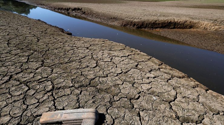 UK declares drought in parts of England during heat wave