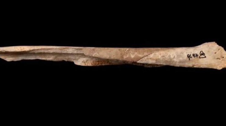 UK DNA study reveals two prehistoric human groups