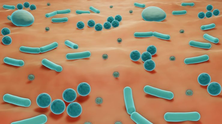 Extremely rare microorganisms that have only been seen 4 times appear new