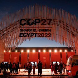 COP27: Brazil not a partner for forests - 11/08/2022 - Environment