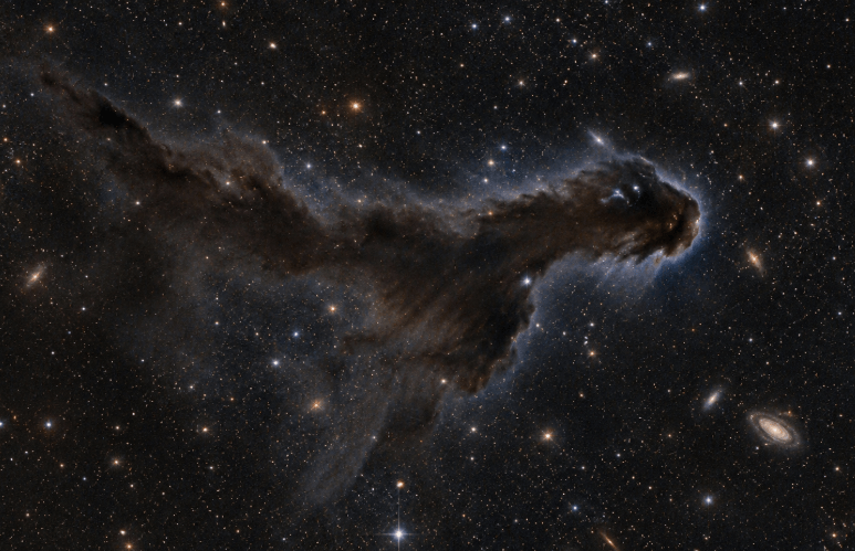 Shark Nebula Image Wins Royal Observatory Greenwich Astronomy Photography Prize Shark Nebula Image Wins Royal Observatory Greenwich Astronomy Photography Prize